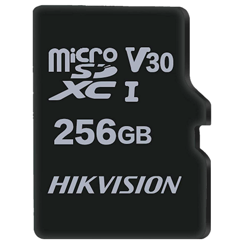 Scheda di memoria Hikvision - HS-TF-M1STD-256G