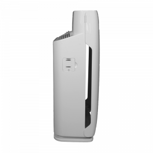 20210920215339_detalle2