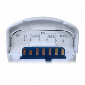 20210920215654_detalle2