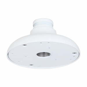 20211125145133_detalle1